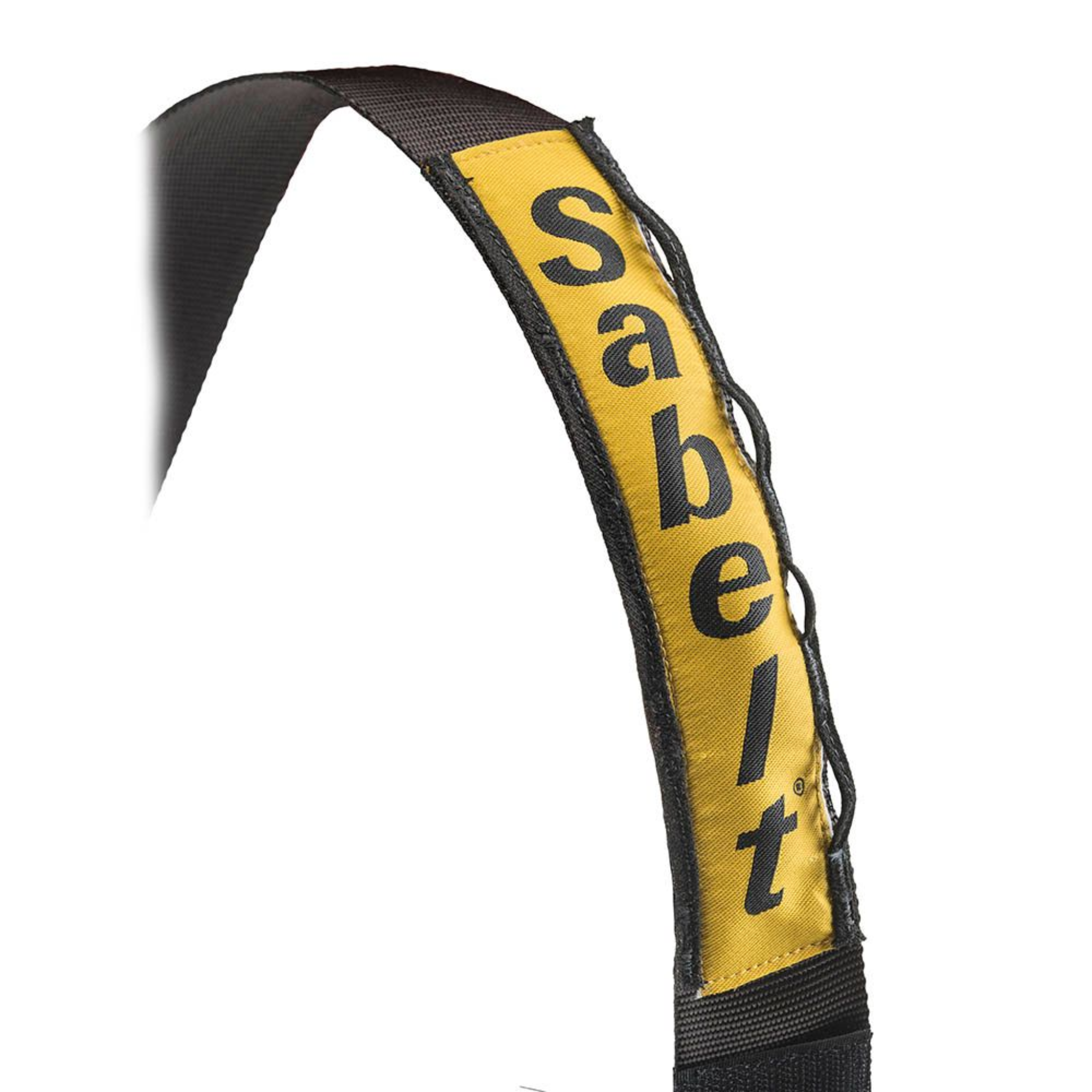 Sabelt Enduro Gold 2" FIA Racing Harness
